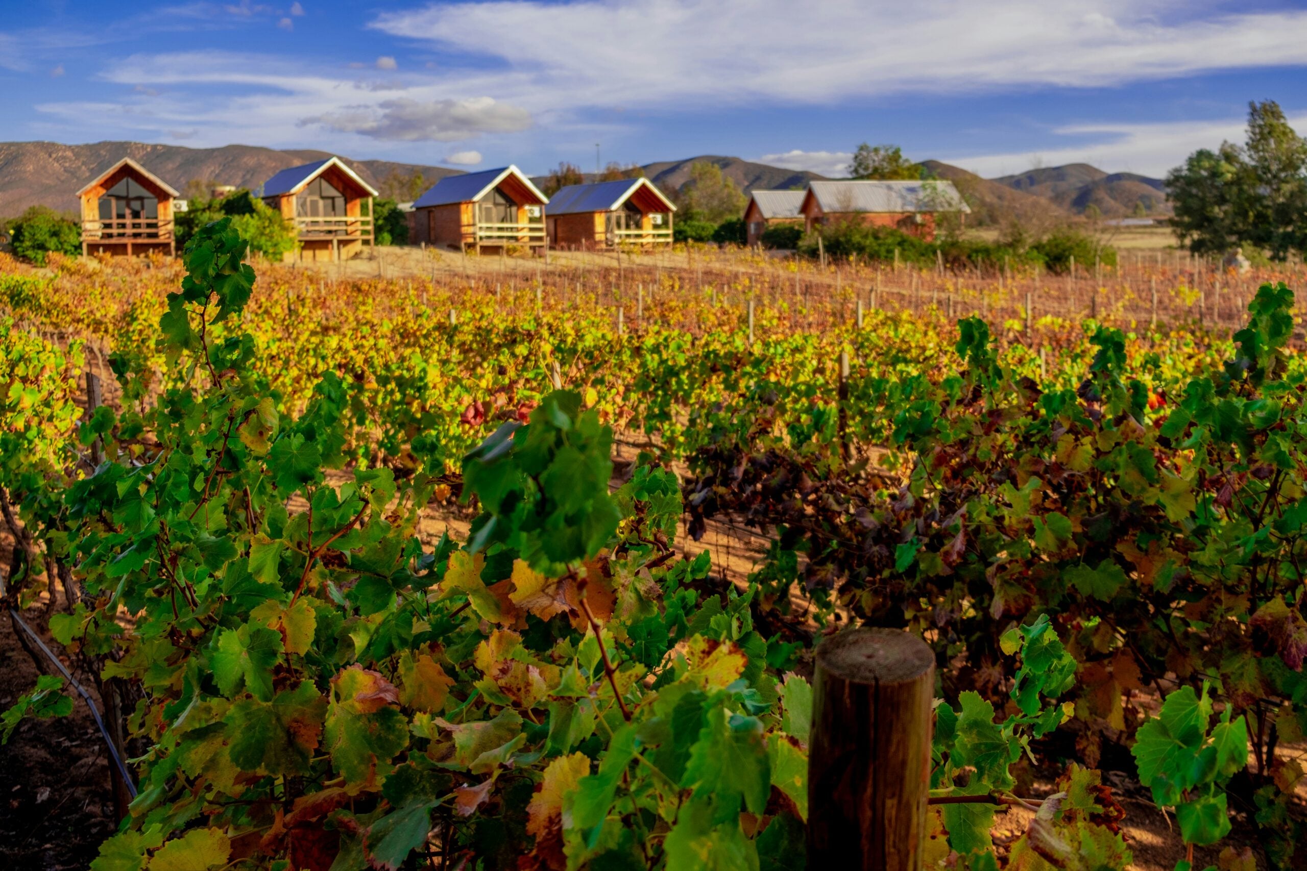 Valle de Guadalupe