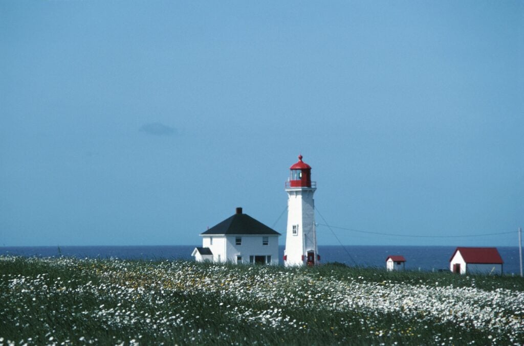 Cape Cod Day Trip